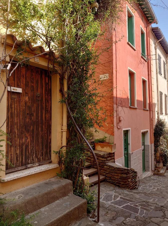 6Conv21 Maison De Pecheur Au Faubourg Villa Collioure Eksteriør billede